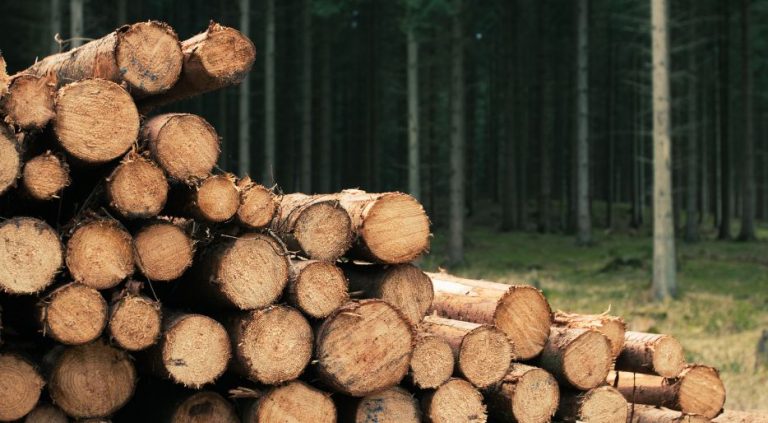 Premium-Aged Ironbark